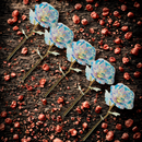 Rosa Galaxy Encantada - Compre 2 e Leve 5 de BRINDE