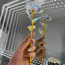 Rosa Galaxy Encantada - Compre 2 e Leve 5 de BRINDE