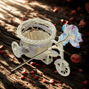 Rosa Galaxy Encantada - Compre 2 e Leve 5 de BRINDE