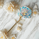 Rosa Galaxy Encantada - Compre 2 e Leve 5 de BRINDE