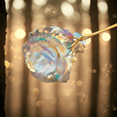 Rosa Galaxy Encantada - Compre 2 e Leve 5 de BRINDE